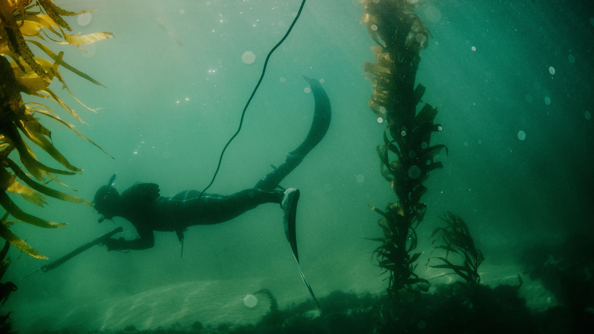 spearfishing shop in Miami