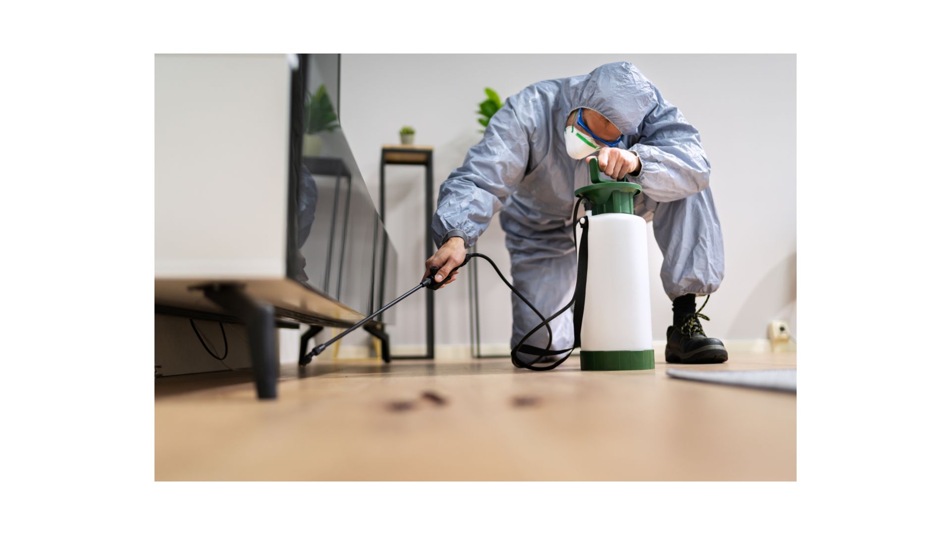 best termite control