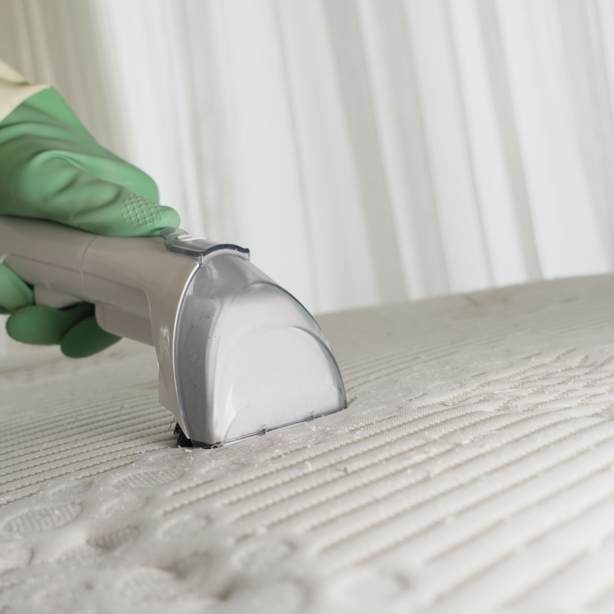 Professional Upholstery Cleaning