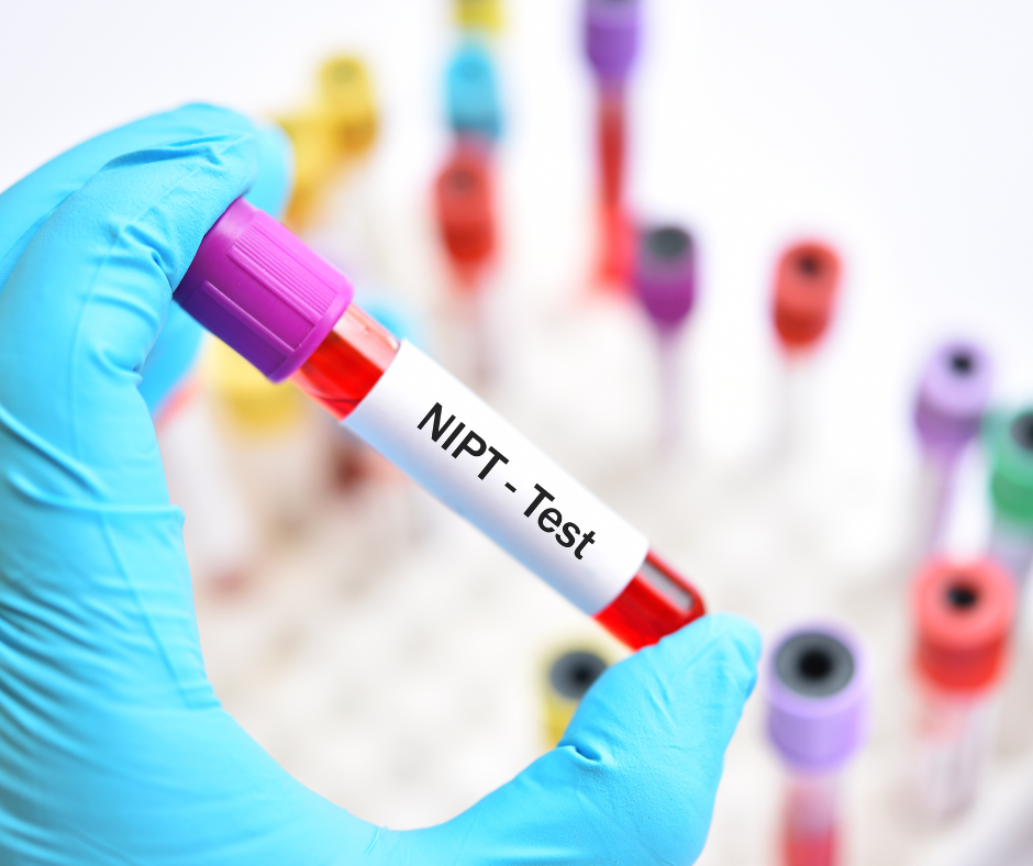 What Is a Nipt Test? How Does the Nipt Test Show Gender?