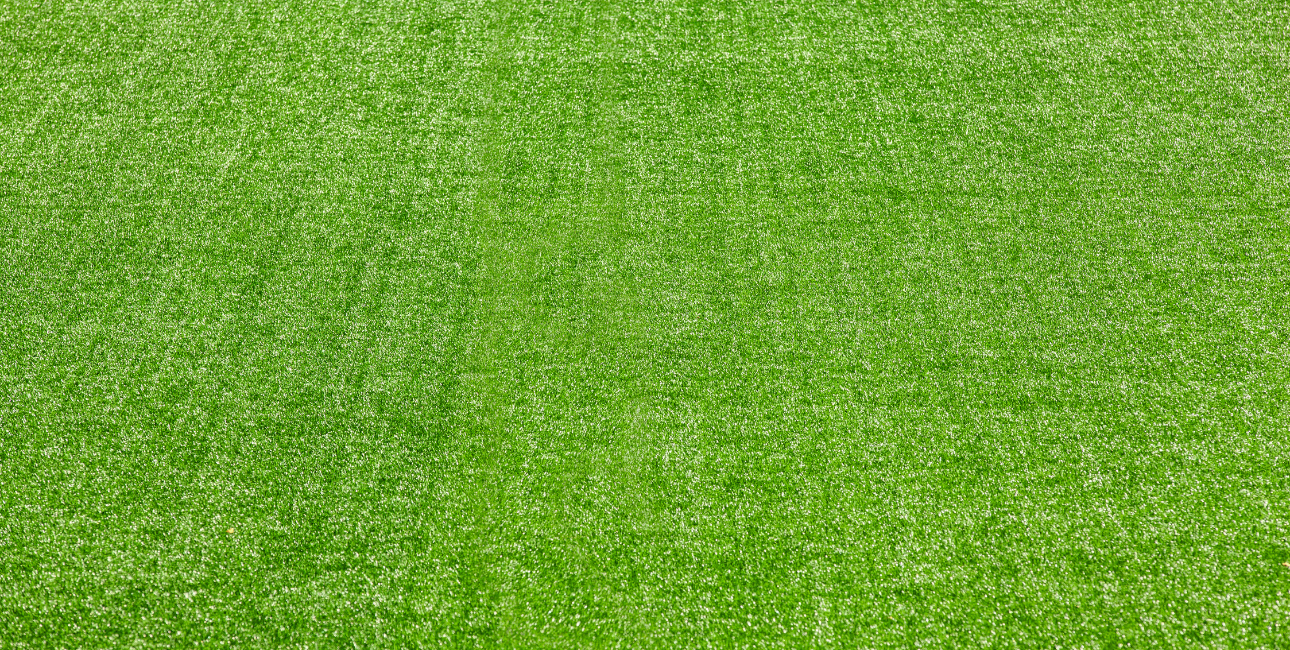 The Top 6 Reasons Why Using Artificial Grass is More Environmentally Friendly